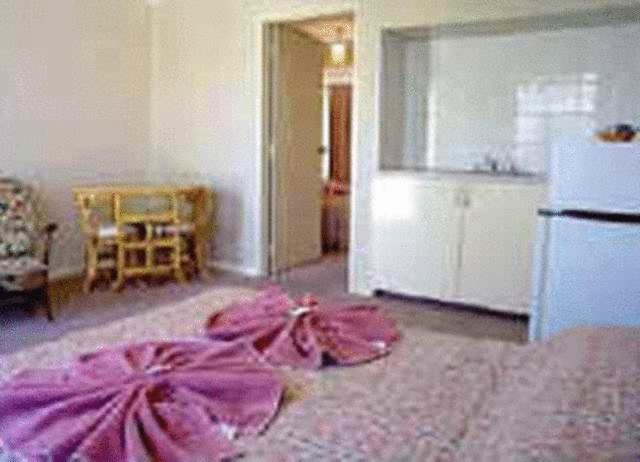 White Gum Motel Alice Springs Quarto foto